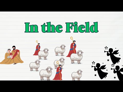 In the Field In the Field