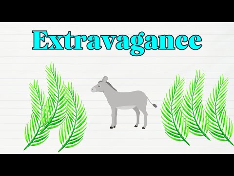 Extravagance Extravagance